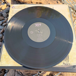 Castle Rat - Into The Realm (2nd Anniversary Edition) Vinyl LP - Black on Black